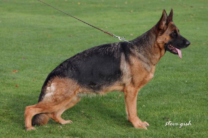 CH. Je suis charlie du val d'Anzin