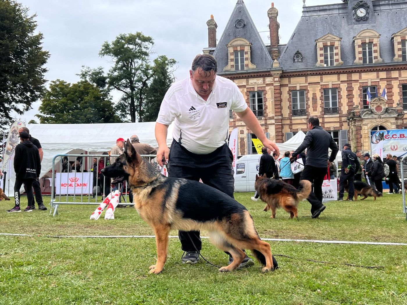 CH. Vip Du Montgison