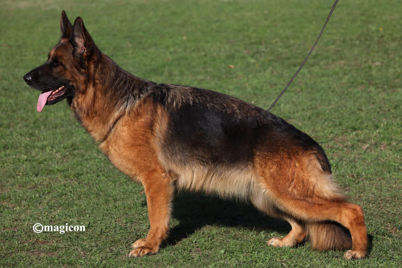 O'dja-Dja Du domaine du parc